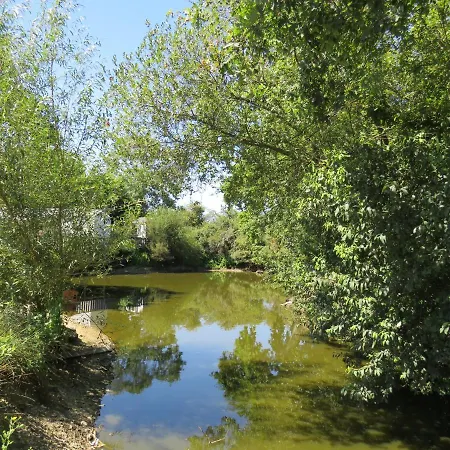 Les P'tites Maisons Dans La Prairie Sallertaine
