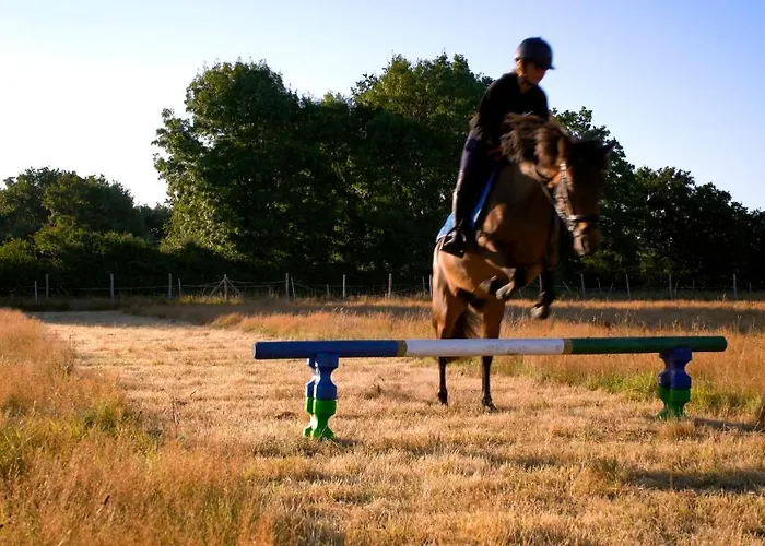 Les P'tites Maisons Dans La Prairie
