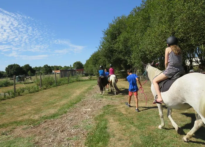 Camping Les P'tites Maisons Dans La Prairie *
