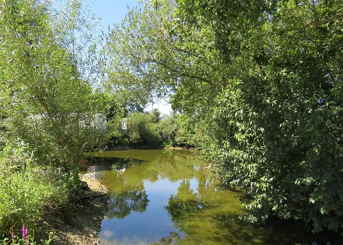 Les P'tites Maisons Dans La Prairie Sallertaine